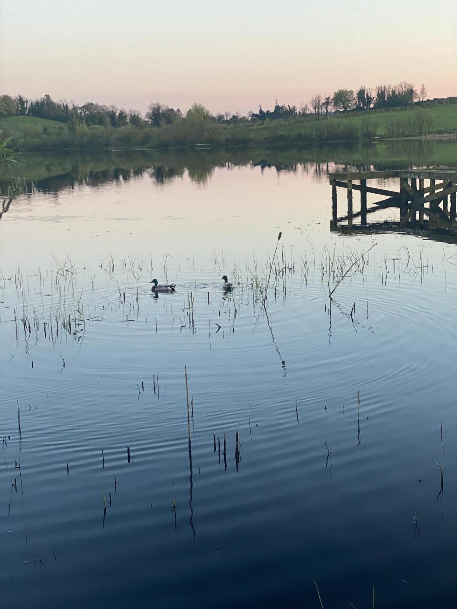 Killyfole Lakeside Lodges Corranny Luaran gambar