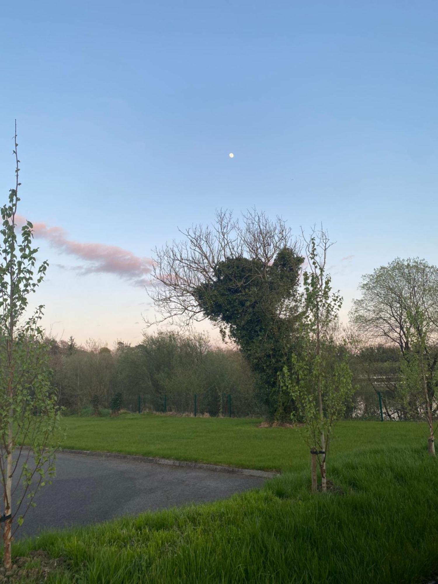 Killyfole Lakeside Lodges Corranny Luaran gambar