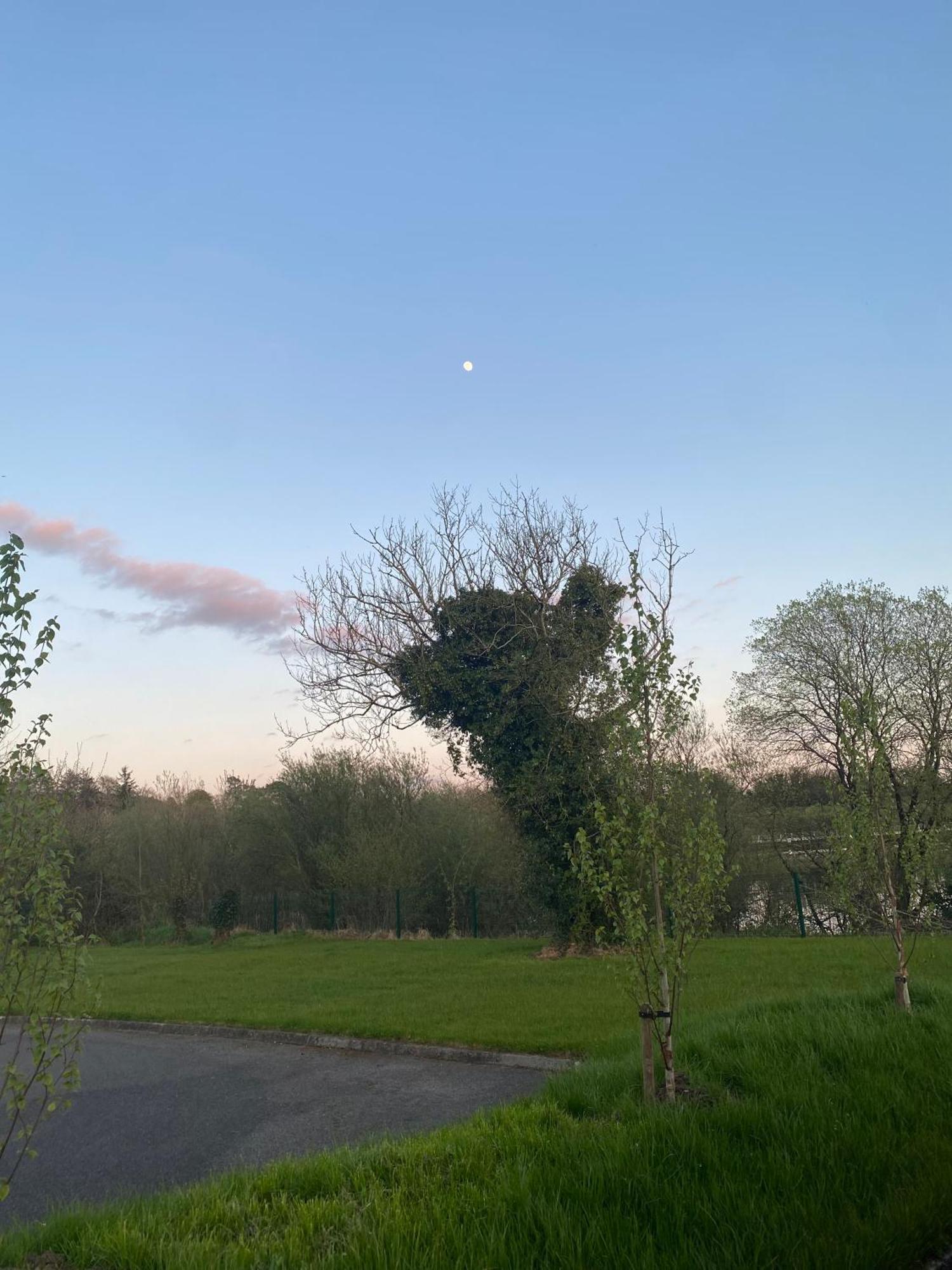 Killyfole Lakeside Lodges Corranny Luaran gambar